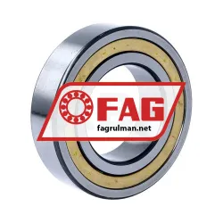FAG NJ2210-E-XL-M1A-C3 rulman resim 2