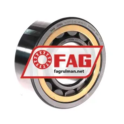 FAG NJ2311-E-XL-MPAX-C3