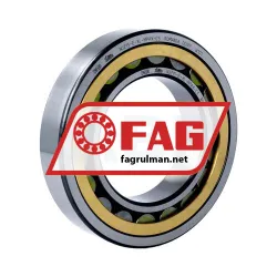 FAG NJ215-E-XL-MPAX-C3