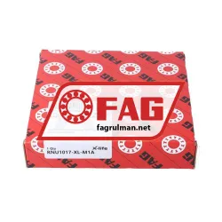 FAG RNU1017-XL-M1A rulman resim 3
