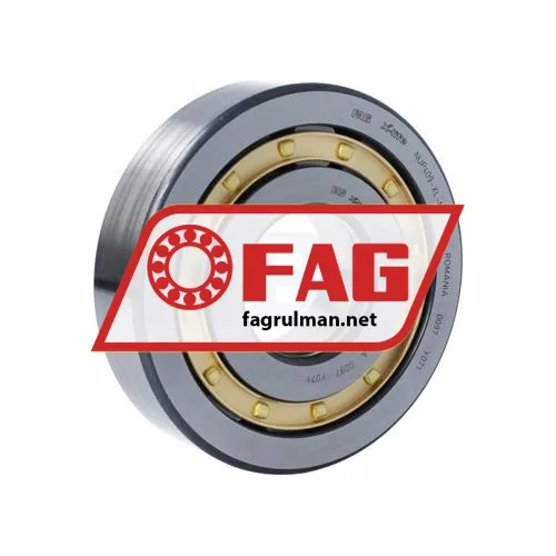 FAG NUP409-XL-M1-C4