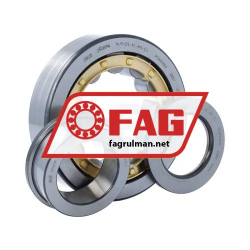 FAG NUP409-XL-M1-C4 ürün fotoğrafı 3