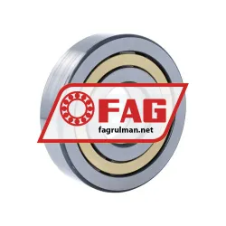 FAG NUP409-XL-M1-C4 rulman resim 2