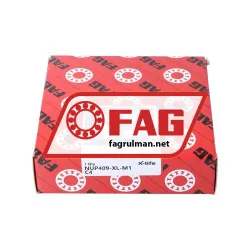 FAG NUP409-XL-M1-C4 rulman resim 4