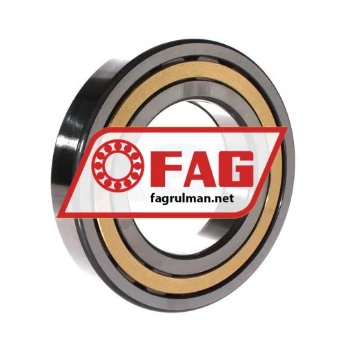 FAG NUP219-E-XL-M1-C3 ürün fotoğrafı 2
