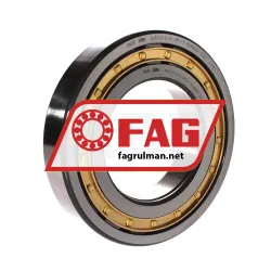 FAG NUP219-E-XL-M1-C3