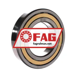 FAG NUP219-E-XL-M1-C3 rulman resim 2