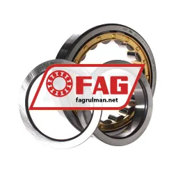 FAG NUP219-E-XL-M1-C3 rulman resim 3