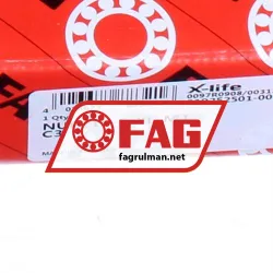 FAG NUP219-E-XL-M1-C3 rulman resim 6
