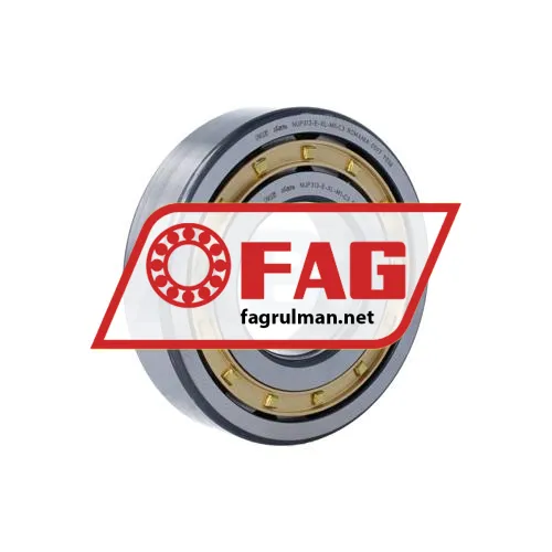 FAG NUP313-E-XL-M1-C3 ürün fotoğrafı 2