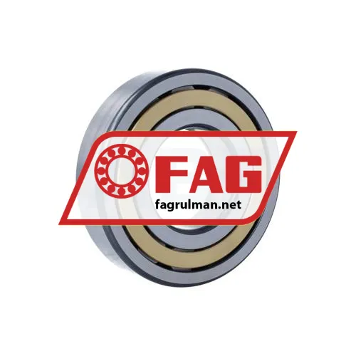 FAG NUP313-E-XL-M1-C3 ürün fotoğrafı 3