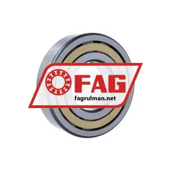 FAG NUP313-E-XL-M1-C3 rulman resim 3