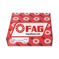 FAG NUP313-E-XL-M1-C3 rulman resim 4