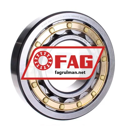 FAG NU320-E-XL-M1-F1-C4