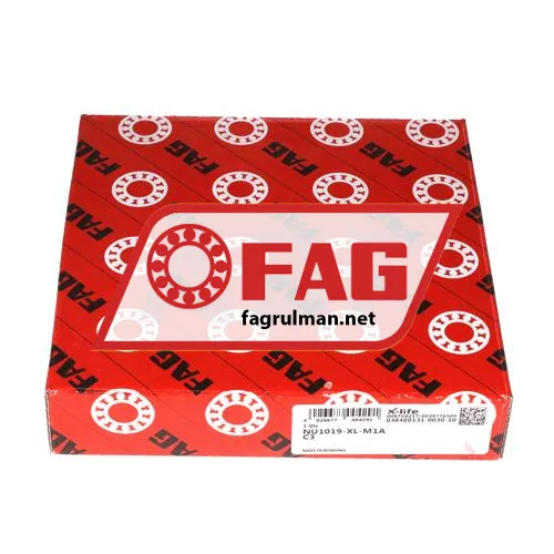 FAG NU1019-XL-M1A-C3 ürün fotoğrafı 3