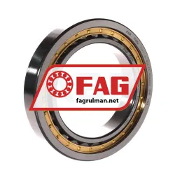 FAG NU1019-XL-M1A-C3
