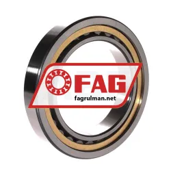 FAG NU1019-XL-M1A-C3 rulman resim 2