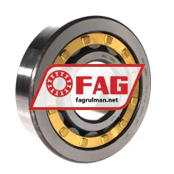 FAG NJ414-XL-M1