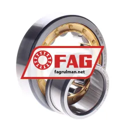 FAG NJ309-E-XL-M1A-C3 rulman resim 2