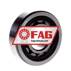 FAG NJ305-E-XL-TVP2-QP51-C4