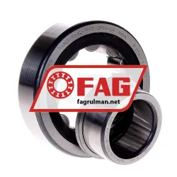 FAG NJ305-E-XL-TVP2-QP51-C4 rulman resim 2