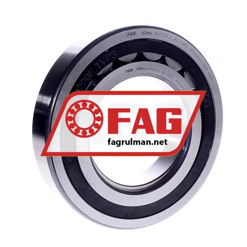 FAG NUP220-E-XL-TVP2