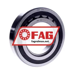 FAG NUP220-E-XL-TVP2