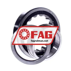 FAG NUP220-E-XL-TVP2 rulman resim 2