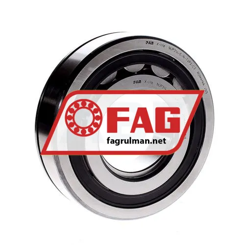 FAG NUP314-E-N-TVP2-C3