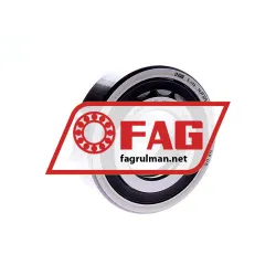 FAG NUP309-E-TVP2