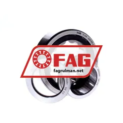 FAG NUP309-E-TVP2 rulman resim 2