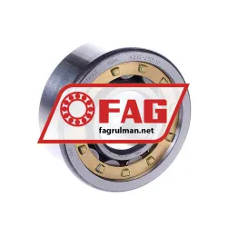 FAG NU2305E-M1A-C3