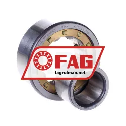 FAG NU2305E-M1A-C3 rulman resim 2