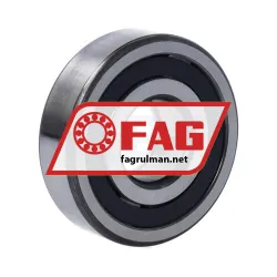 FAG NUP304E-TVP2 rulman resim 2