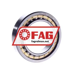 FAG NU1010M1