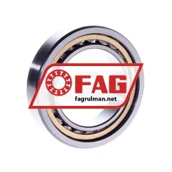 FAG NU1010M1 rulman resim 2