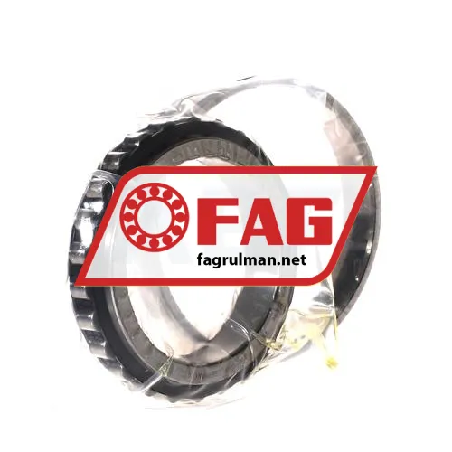 FAG N1013-D-K-TVP-SP-XL