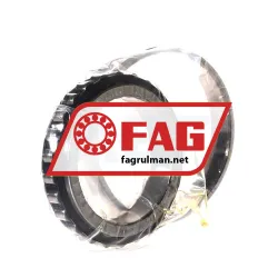 FAG N1013-D-K-TVP-SP-XL