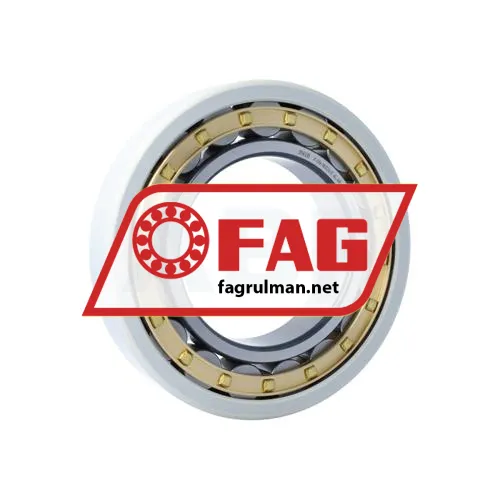 FAG NU224-E-XL-M1-J20AA-C3