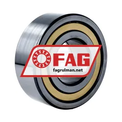 FAG NUP2311-E-XL-M1 rulman resim 2