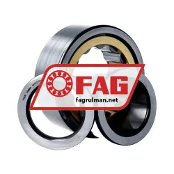 FAG NUP2311-E-XL-M1 rulman resim 3