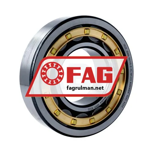 FAG NU315-E-XL-M1-C3