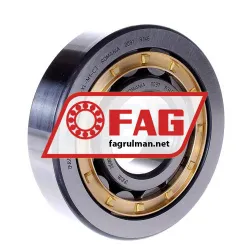 FAG NJ409-XL-M1-C3