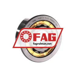 FAG NJ407-XL-M1-C3