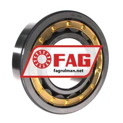 FAG NJ319-E-XL-M1