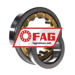 FAG NJ319-E-XL-M1 rulman resim 3