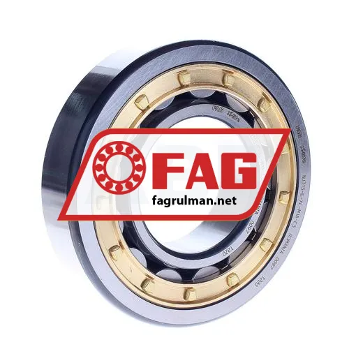 FAG NJ313-E-XL-M1A-C3