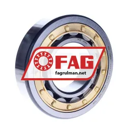 FAG NJ313-E-XL-M1A-C3