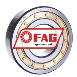 FAG NJ311-E-XL-M1A-C3