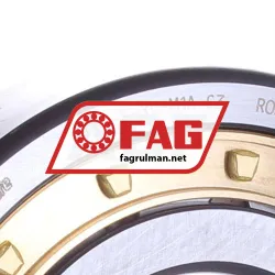 FAG NJ311-E-XL-M1A-C3 rulman resim 3